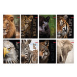 Тетрадка A5/A4 Ilijanum Wild Life UV 60 листа офсет